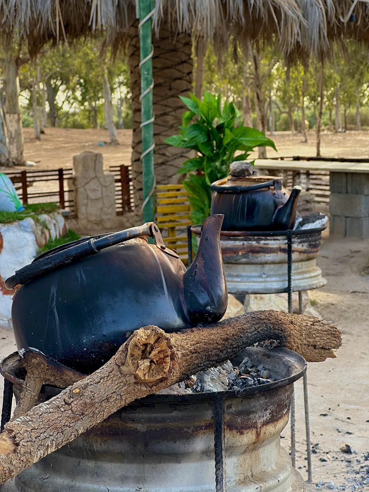 Libyan tea